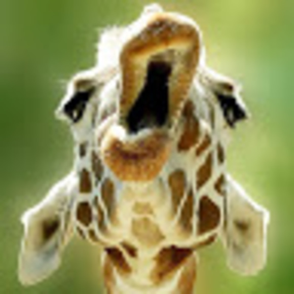 Meet your Posher, R.a. - Picture 1 of 1